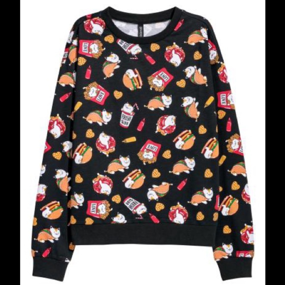 Cute H&M Long Sleeved Barbeque Cat Graphic Tee